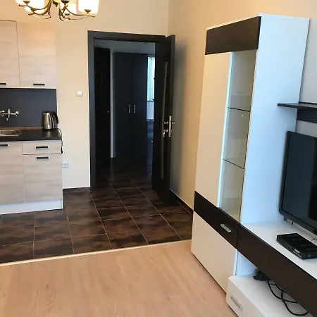 Большие Апартаменты Apartment